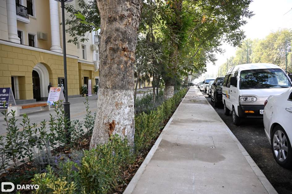 Словенские специалисты помогут защитить растения в Узбекистане от засыхания